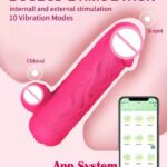 App Controlled Penis Shape Vibrating Dildo For Women